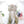 Load image into Gallery viewer, Harajuku Lolita Gradient Color Wig YC24224