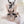 Load image into Gallery viewer, Cos sexy lingerie set YC21789