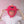 Load image into Gallery viewer, Cute animal hat YC21715