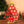 Load image into Gallery viewer, Mini christmas tree yc24604