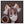 Load image into Gallery viewer, Cute fox ears headband YC24255