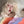 Load image into Gallery viewer, Lolita wave roll wig YC21901