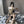 Load image into Gallery viewer, Leopard print lingerie set YC22096