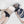 Load image into Gallery viewer, Gym outfit pajamas set YC21929