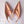 Load image into Gallery viewer, Cos Elf Ears yc23821