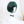 Load image into Gallery viewer, Harajuku green short straight hair wig YC24328