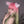 Load image into Gallery viewer, Elf girl gradient wig yc24786
