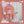 Load image into Gallery viewer, cute backpack yc82931