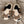 Load image into Gallery viewer, Cute cow winter slippers yc24596