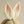 Load image into Gallery viewer, Lolita Rabbit ear headband yc24627