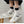 Load image into Gallery viewer, cute cow canvas shoes YC50032

