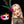 Load image into Gallery viewer, Halloween Masquerade Mask YC21775