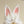 Load image into Gallery viewer, Lolita Rabbit ear headband yc24627