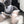 Load image into Gallery viewer, Sexy maid uniform suit yc22429