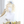 Load image into Gallery viewer, Milky White Air Bangs Wig YV4004