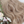 Load image into Gallery viewer, Linen Gold Brown Air Bangs Wig YC40015