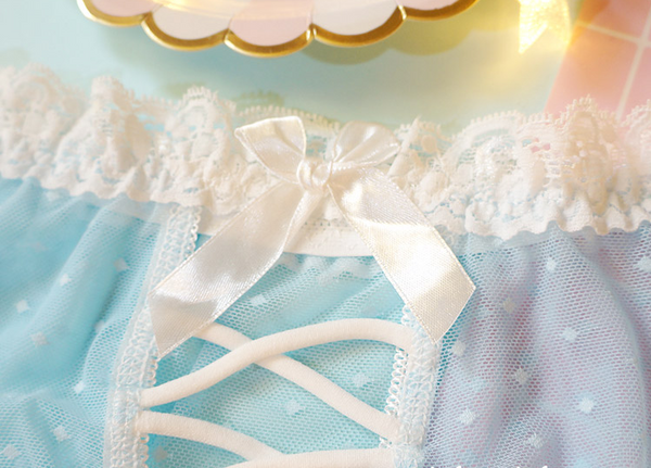 Sexy Slim Mesh Lace Panties YC20102