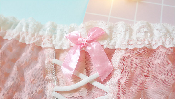 Sexy Slim Mesh Lace Panties YC20102