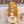 Load image into Gallery viewer, Harajuku Orange Wig YC21654