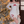 Load image into Gallery viewer, Christmas sexy bow dress yc50192
