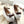 Load image into Gallery viewer, lolita bow strap platform shoes YC30039