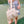 Load image into Gallery viewer, Cat Bow School Backpack YC30022