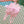 Load image into Gallery viewer, Cat Bow School Backpack YC30022