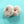 Load image into Gallery viewer, Japanese cute hair ring yc20494