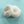 Load image into Gallery viewer, Japanese cute hair ring yc20494