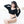 Load image into Gallery viewer, Devil Knit Sweater Set YC21983