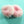 Load image into Gallery viewer, Japanese cute hair ring yc20494