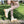 Load image into Gallery viewer, MARY JANE LEATHER SHOES YC82842