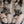 Load image into Gallery viewer, Sexy cos camouflage suit YC21745