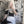Load image into Gallery viewer, Lovely love hollow maid outfit YC24274