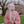 Load image into Gallery viewer, Lolita cos mixed color wig yc20527