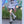 Load image into Gallery viewer, jk star calf socks yc50234