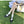 Load image into Gallery viewer, MARY JANE LEATHER SHOES YC82842