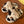 Load image into Gallery viewer, CUTE COTTON SLIPPERS yc83028