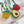 Load image into Gallery viewer, Harajuku Fruit Crossbody Bag yc22868