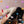 Load image into Gallery viewer, Sanrio cute socks kw003
