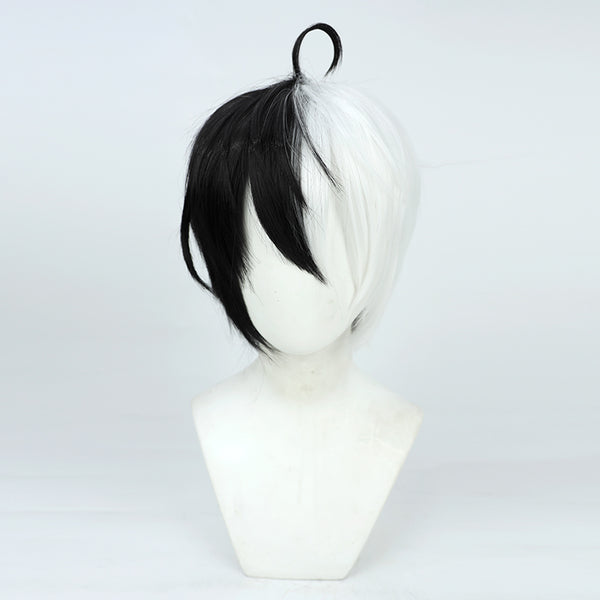 Cosplay black and white two-color wig AN0448