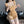 Load image into Gallery viewer, Brown bear  dress  AN126
