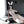 Load image into Gallery viewer, Cos Bunny Maid Suit AN0199
