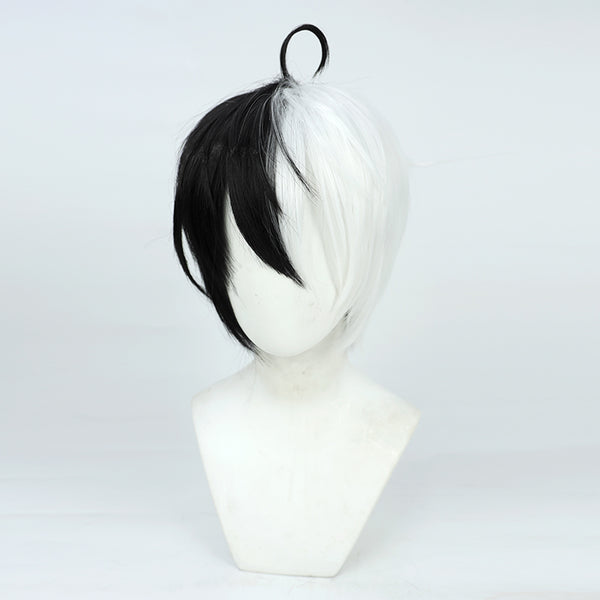 Cosplay black and white two-color wig AN0448