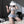 Load image into Gallery viewer, Cute lace suit  AN083
