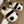 Load image into Gallery viewer, Soft cute panda slippers yc24780

