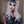 Load image into Gallery viewer, lolita blue gray long wig yc22823
