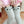 Load image into Gallery viewer, Japanese style cute cartoon socks yc23158
