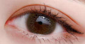 Brown contact lenses (TWO PIECE)   YC21244