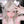 Load image into Gallery viewer, Harajuku blonde wig yc23741
